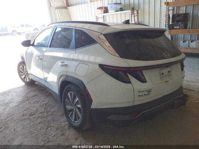 KM8JBCA1XNU029511 Hyundai Tucson Hybrid Blue