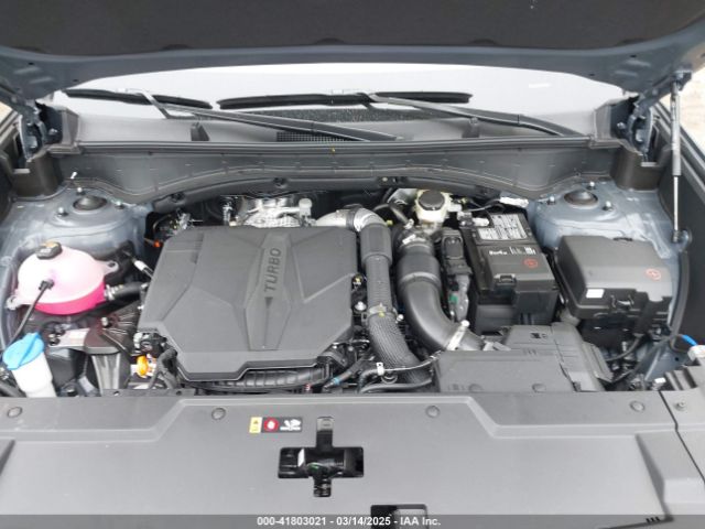 5NMP5DGL6SH093018 Hyundai Santa Fe Calligraphy
