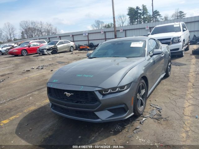 2024 FORD MUSTANG 1FA6P8TH6R5133406 Photo 1