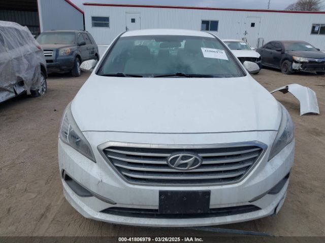 5NPE24AF4HH502146 Hyundai Sonata