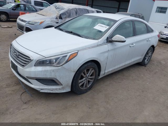 5NPE24AF4HH502146 Hyundai Sonata