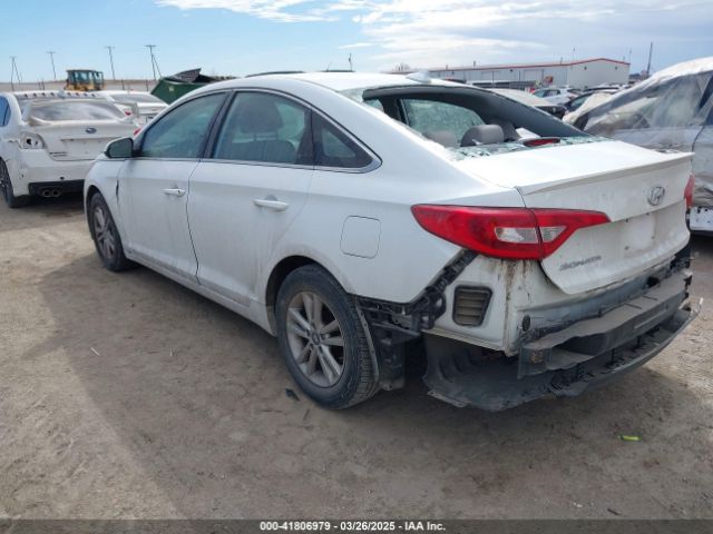 5NPE24AF4HH502146 Hyundai Sonata