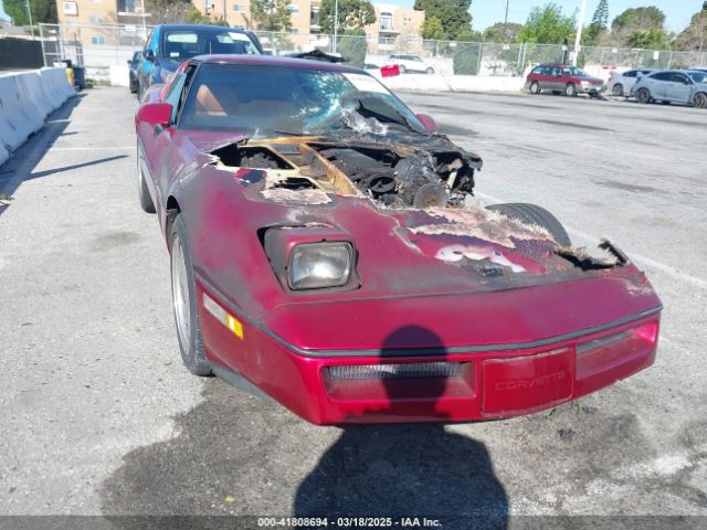 1989 CHEVROLET CORVETTE 1G1YY2180K5102974