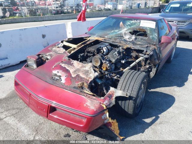 1989 CHEVROLET CORVETTE 1G1YY2180K5102974 Photo 5