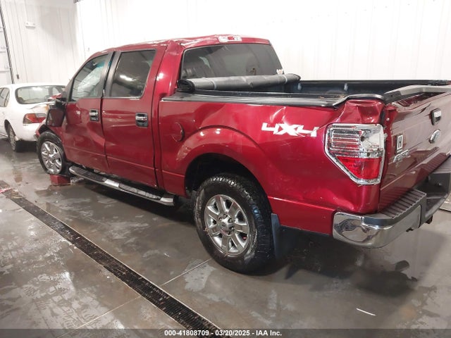 Ford F-150 Xlt 2014 1FTFW1EF4EFA93217 Image 3