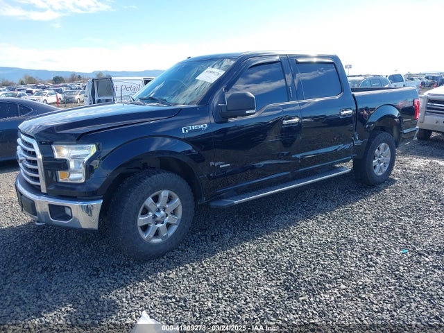 1FTEW1EGXGKE32822 Ford F-150 Xlt