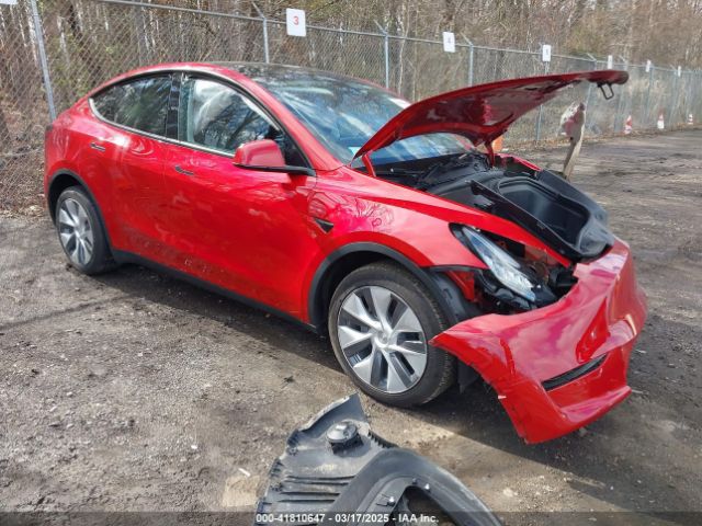 2023 TESLA MODEL Y 7SAYGDEE7PA101994