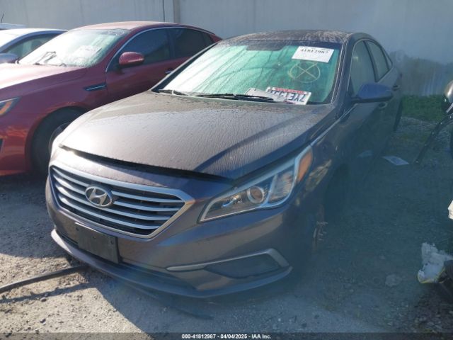 5NPE24AF9HH584570 Hyundai Sonata