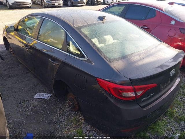 5NPE24AF9HH584570 Hyundai Sonata