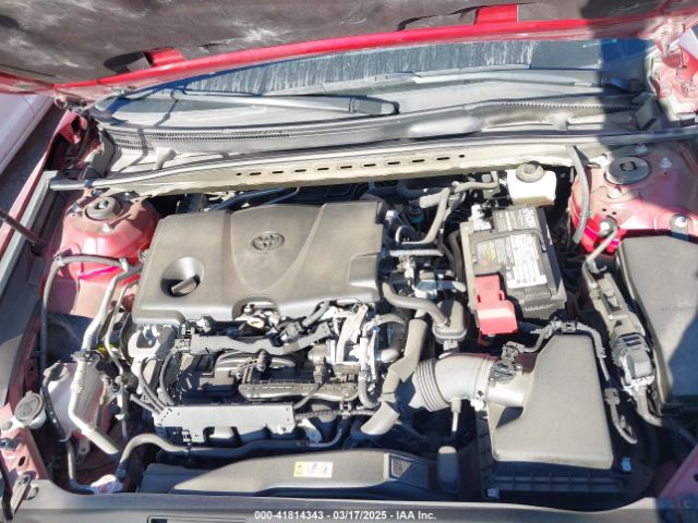 4T1B11HK0KU733223 Toyota CAMRY XLE