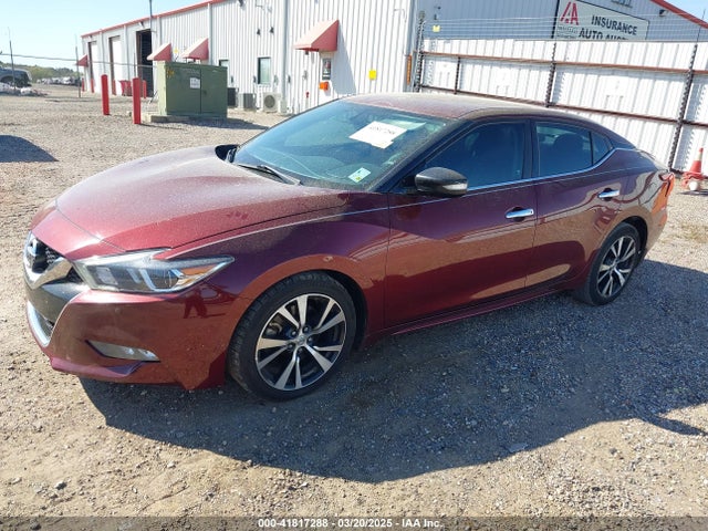 1N4AA6AP1GC416590 Nissan Maxima 3.5 Sv