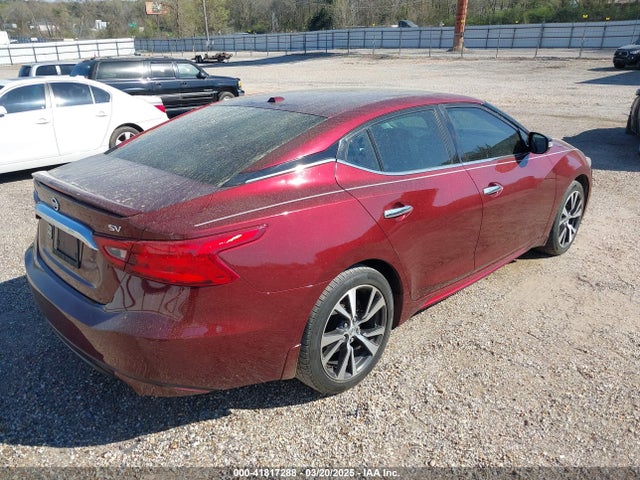 1N4AA6AP1GC416590 Nissan Maxima 3.5 Sv