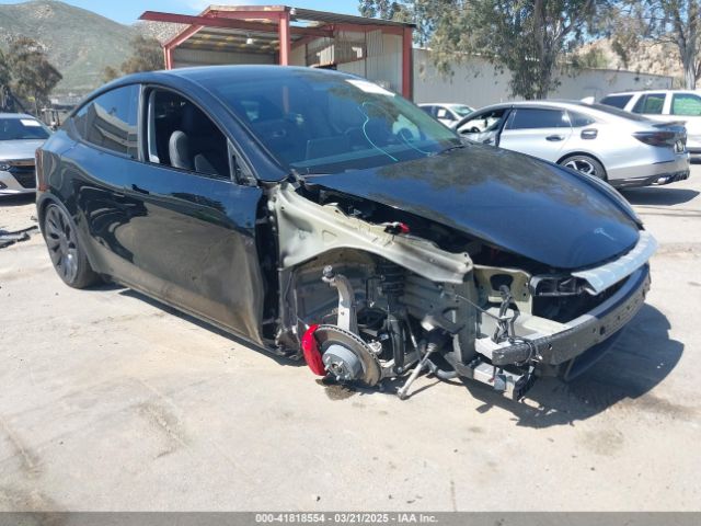 2023 TESLA MODEL Y 7SAYGDEF3PF683118