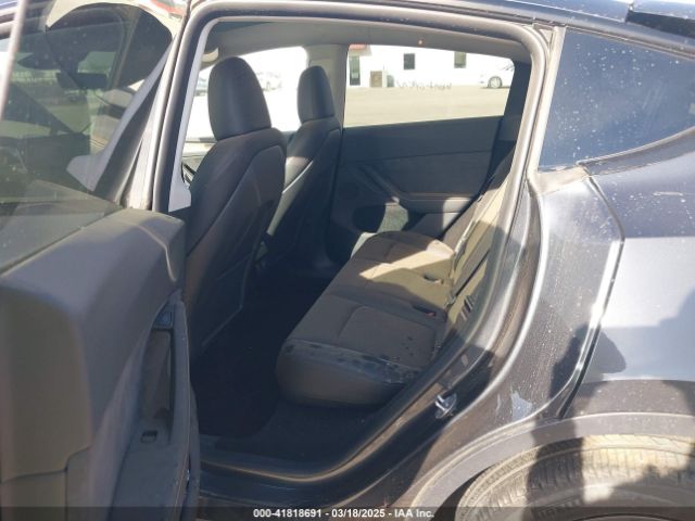 2025 TESLA MODEL Y 7SAYGDED7SA354104 Photo 7