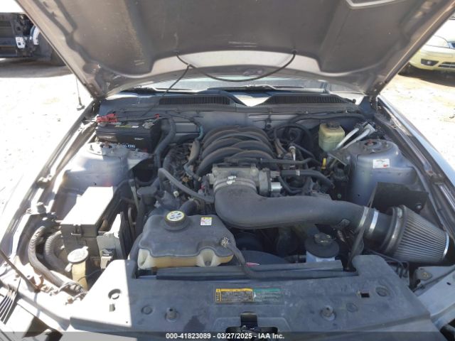 2006 FORD MUSTANG 1ZVHT82H265207493 Photo 9