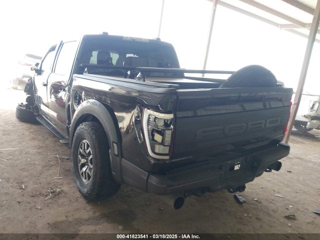 Ford F-150 Raptor 2023 1FTFW1RG0PFA13711 Image 3