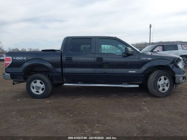 1FTFW1ETXEFC11518 Ford F-150 Xlt