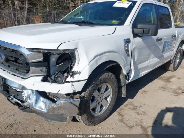 1FTEW1EP5PFD32586 Ford F-150 Xlt
