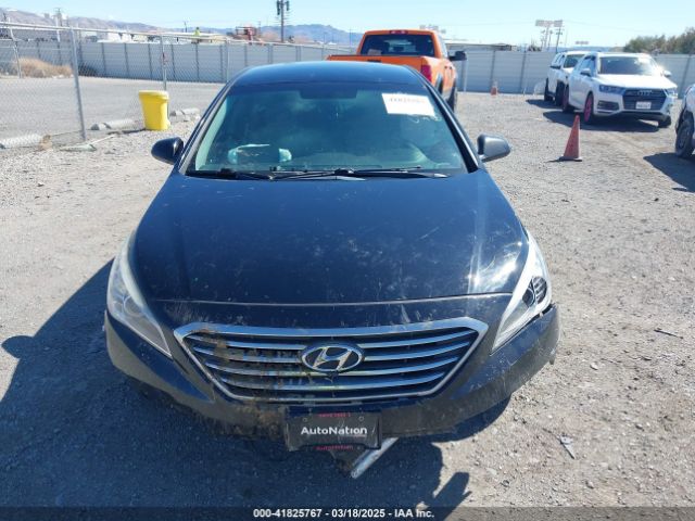 5NPE24AF9HH509013 Hyundai SONATA SE