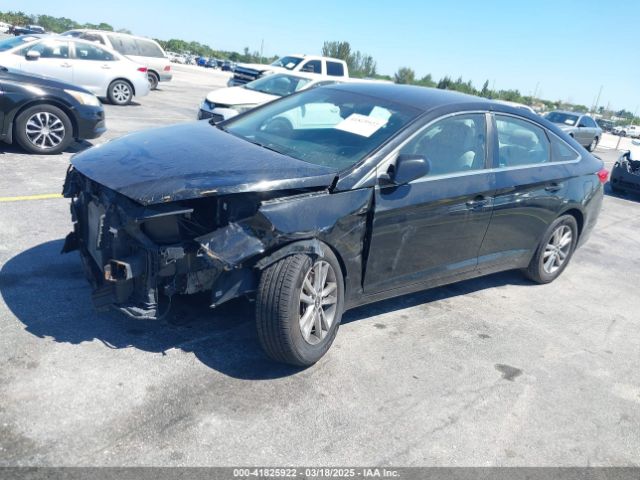5NPE24AF9GH288432 Hyundai SONATA SE