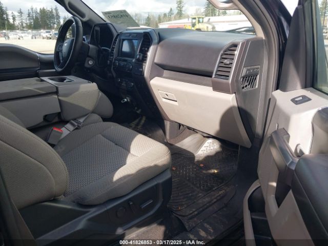 1FTFW1E43KKD13822 Ford F-150 Xlt