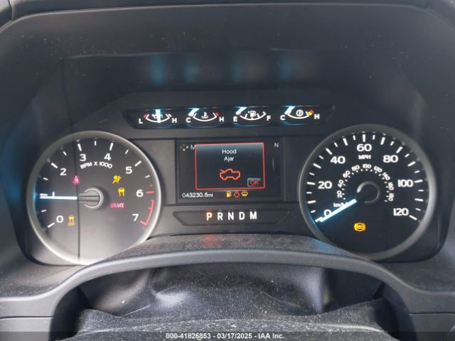 1FTFW1E43KKD13822 Ford F-150 Xlt