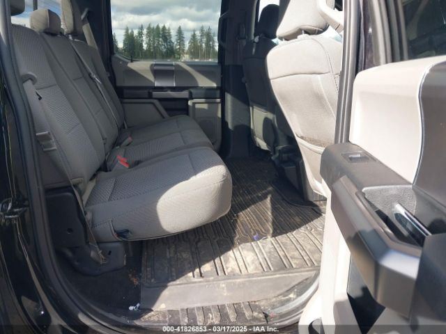 1FTFW1E43KKD13822 Ford F-150 Xlt