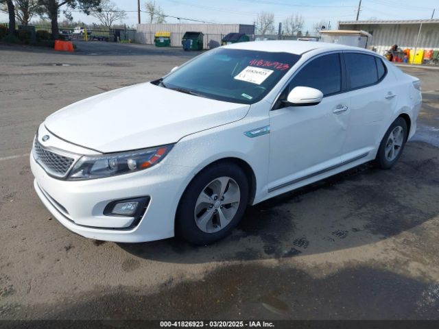 KNAGM4AD2G5094596 KIA OPTIMA HYBRID
