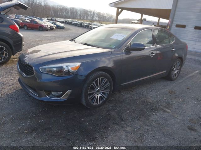 KNALN4D75F5176838 KIA Cadenza Premium
