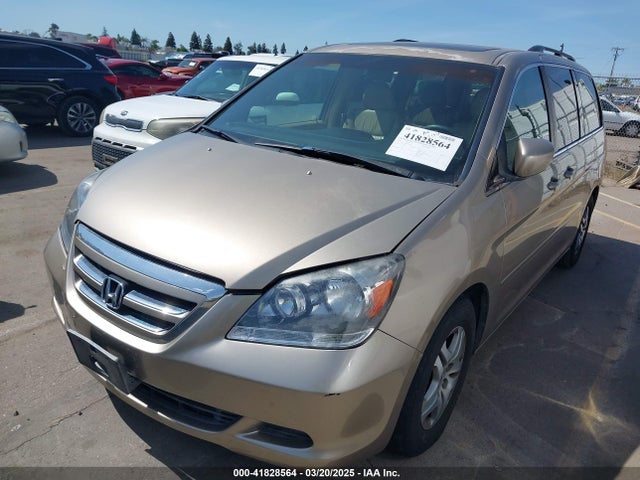 Продаж на аукціоні авто 2006 Honda Odyssey Ex-l, vin: 5FNRL38696B455058, номер лоту: 41828564
