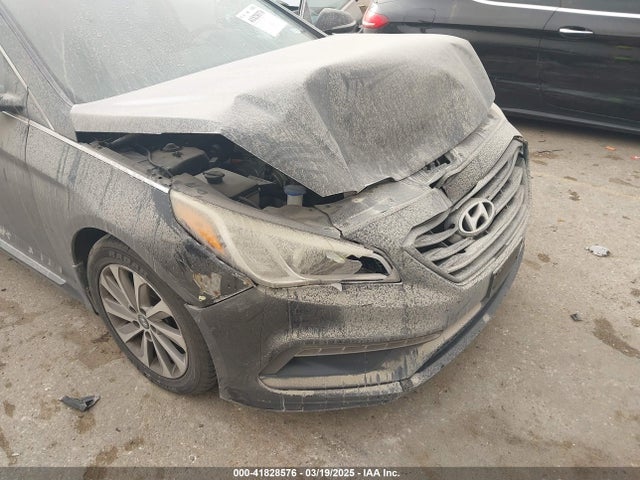 5NPE34AF8FH243557 Hyundai Sonata Sport
