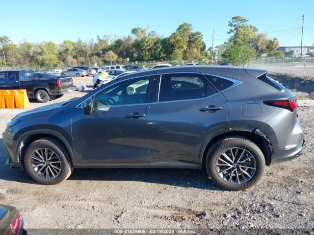 JTJGDCAZXR5020805 Lexus Nx 250 Premium