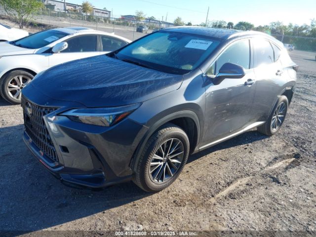 JTJGDCAZXR5020805 Lexus Nx 250 Premium