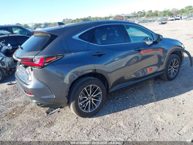 JTJGDCAZXR5020805 Lexus Nx 250 Premium