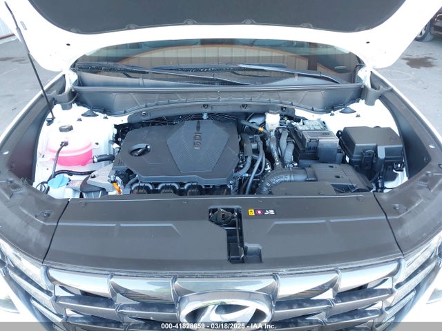 Hyundai TUCSON SEL 2024 5NMJF3DE7RH397066 Image 10
