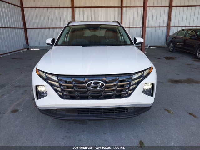 Hyundai TUCSON SEL 2024 5NMJF3DE7RH397066 Image 12