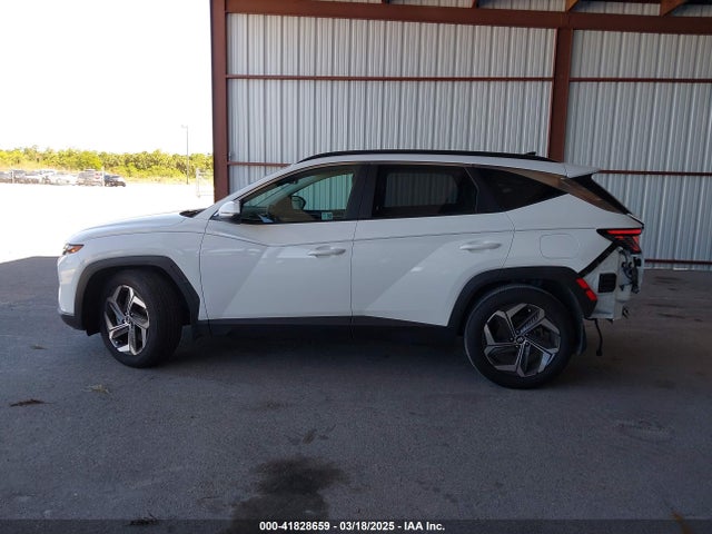 Hyundai TUCSON SEL 2024 5NMJF3DE7RH397066 Image 14