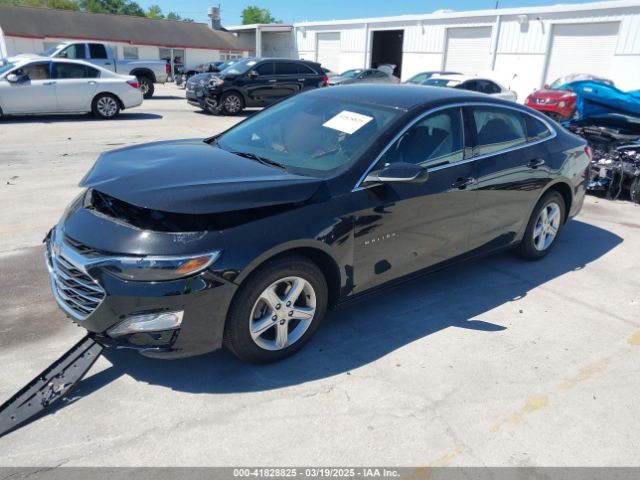 1G1ZD5STXRF168800 Chevrolet Malibu Fwd 1lt