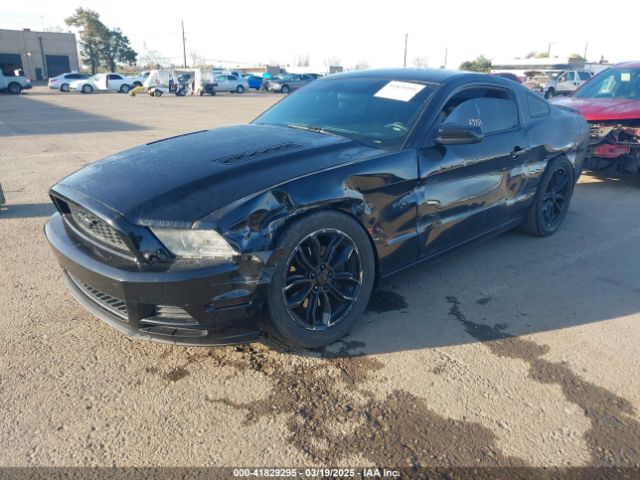 2013 FORD MUSTANG 1ZVBP8CFXD5284486 Photo 1