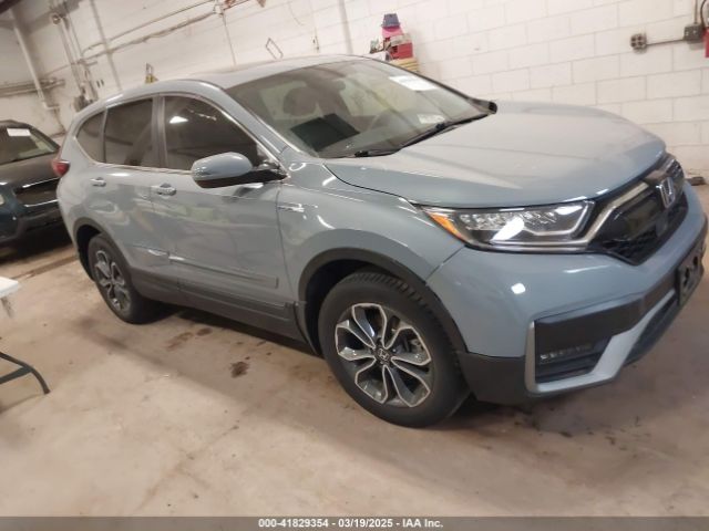 2022 HONDA CR-V 5J6RT6H50NL013655