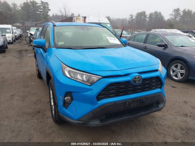 JTMP1RFV0KD031165 Toyota Rav4 Xle