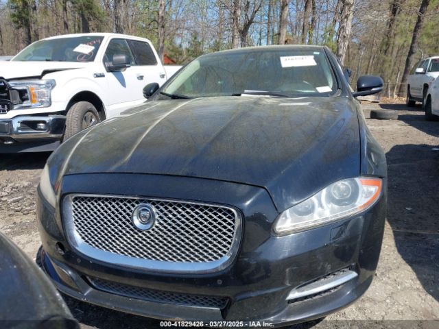 2013 JAGUAR XJ SAJWJ2GD0D8V49329 Photo 5