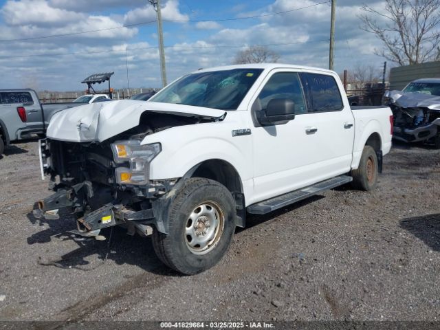 1FTEW1EF4HFB58146 Ford F-150 Xlt