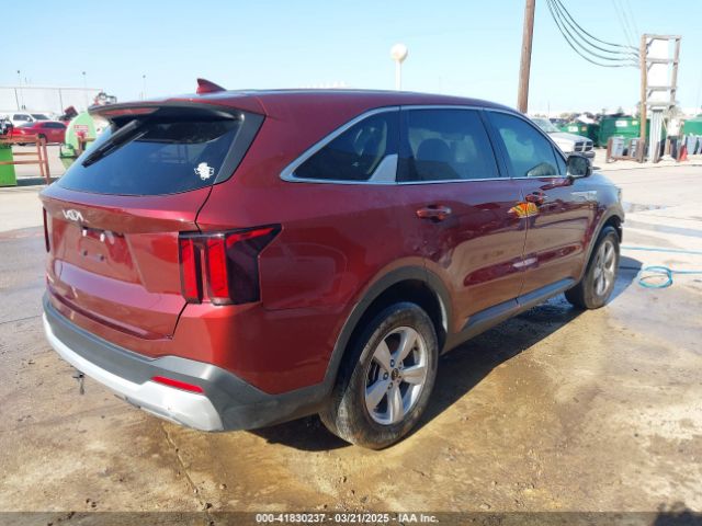 2024 KIA SORENTO 5XYRG4JC3RG257311 Photo 3