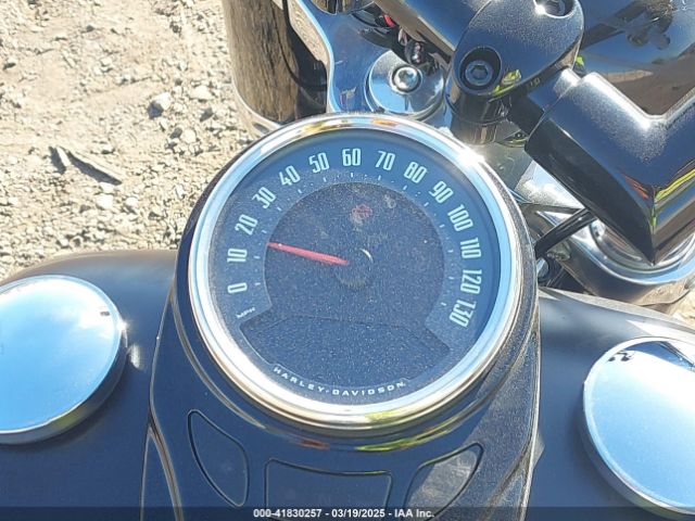 2019 HARLEY-DAVIDSON FLSL 1HD1YDJ36KC014367 Photo 6