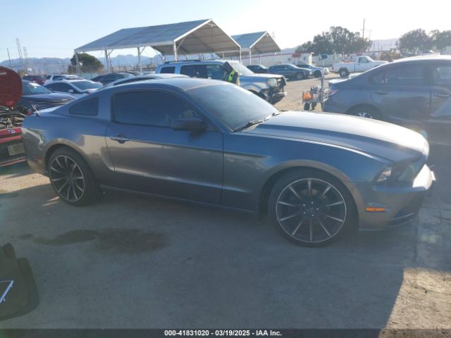 1ZVBP8AMXE5281283 Ford Mustang V6