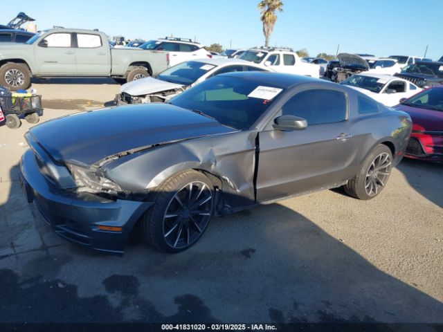 1ZVBP8AMXE5281283 Ford Mustang V6