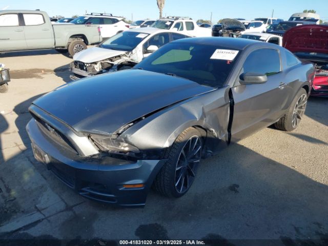 1ZVBP8AMXE5281283 Ford Mustang V6