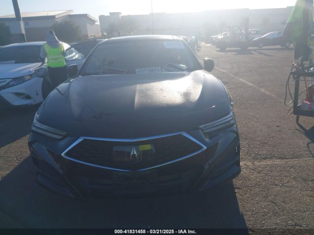 19UUB5F39MA000381 Acura Tlx Standard
