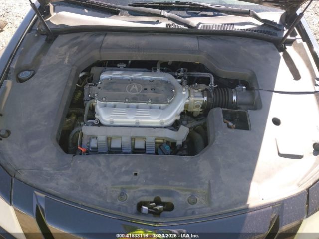 2009 ACURA TL 19UUA86299A016163 Photo 9
